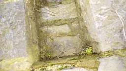acastle
                          103570.jpg